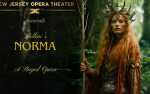 Image for New Jersey Opera Theater: Bellini's NORMA