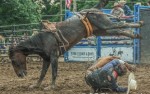 Image for New Date *Xtreme Roughstock Rodeo Tour