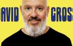 Image for SOLD OUT - David Cross
