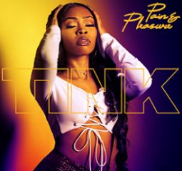 Image for Tink - The Pain and Pleasure Tour