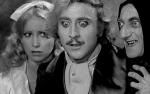Image for FILM: Young Frankenstein