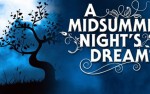 Image for *6/11* A Midsummer Night's Dream