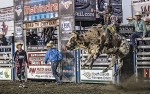 Image for Red Wilk Construction CBR Bull Bash