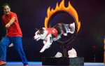 Image for Chris Perondi's Stunt Dog Experience LIVE