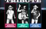 Country Artist Tribute Show