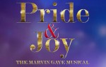 Image for Pride & Joy - The Marvin Gaye Musical- Sun, May 12, 2019 @ 7:30 pm