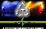 Brain Damage - Tribute to Pink Floyd performs "Dark Side of the Rainbow" $40, $35, $30, $25