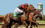 Image for Horse Racing Box Seats