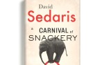 Image for Rescheduled Live Event: David Sedaris